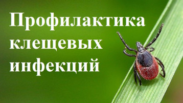 Памятка для родителей: «О мерах профилактики клещевых инфекций» Памятка для родителей: «О мерах профилактики клещевых инфекций».